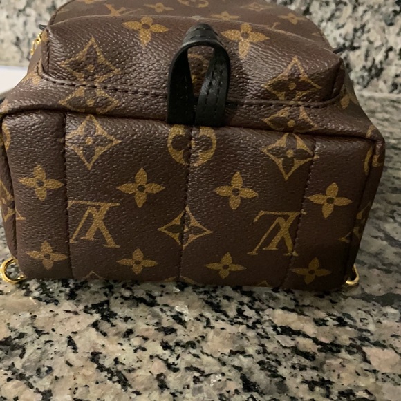 Authentic Louis Vuitton Palm Springs mini - Picture 4 of 16